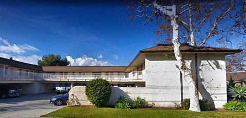a white building with a tree and a parking lot