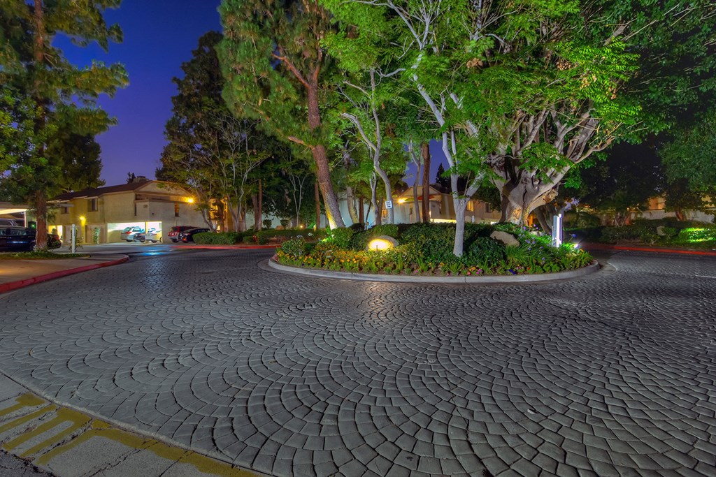 Night view at LAKE DIANNE, California