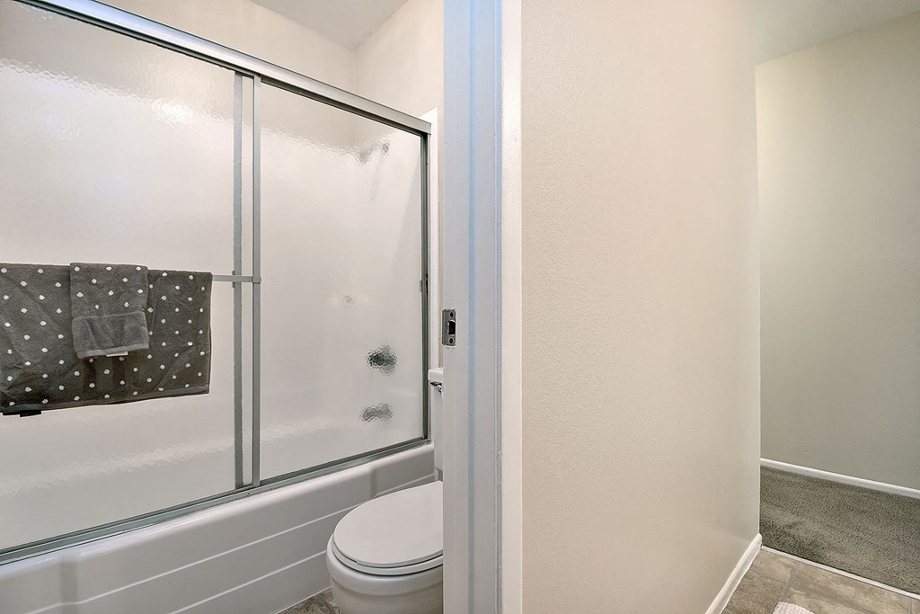 a bathroom with a shower and a toilet
