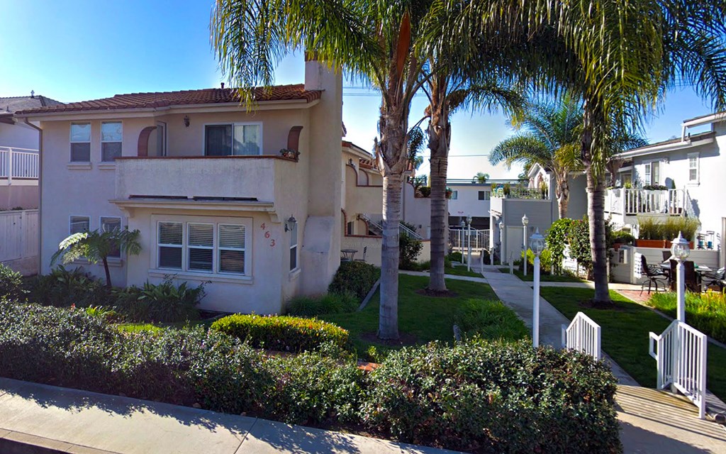 the neighborhood is full of houses with palm trees