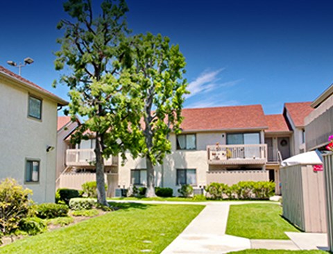 an apartment building with a yard and a tree in front of it