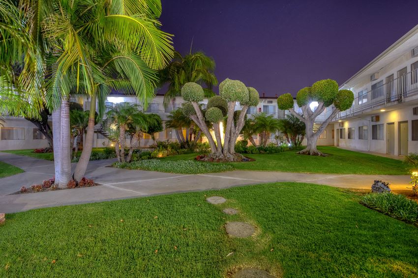 a courtyard with palm trees at night