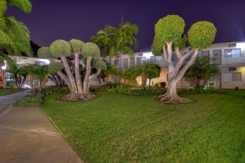 a yard with trees and grass in front of a building