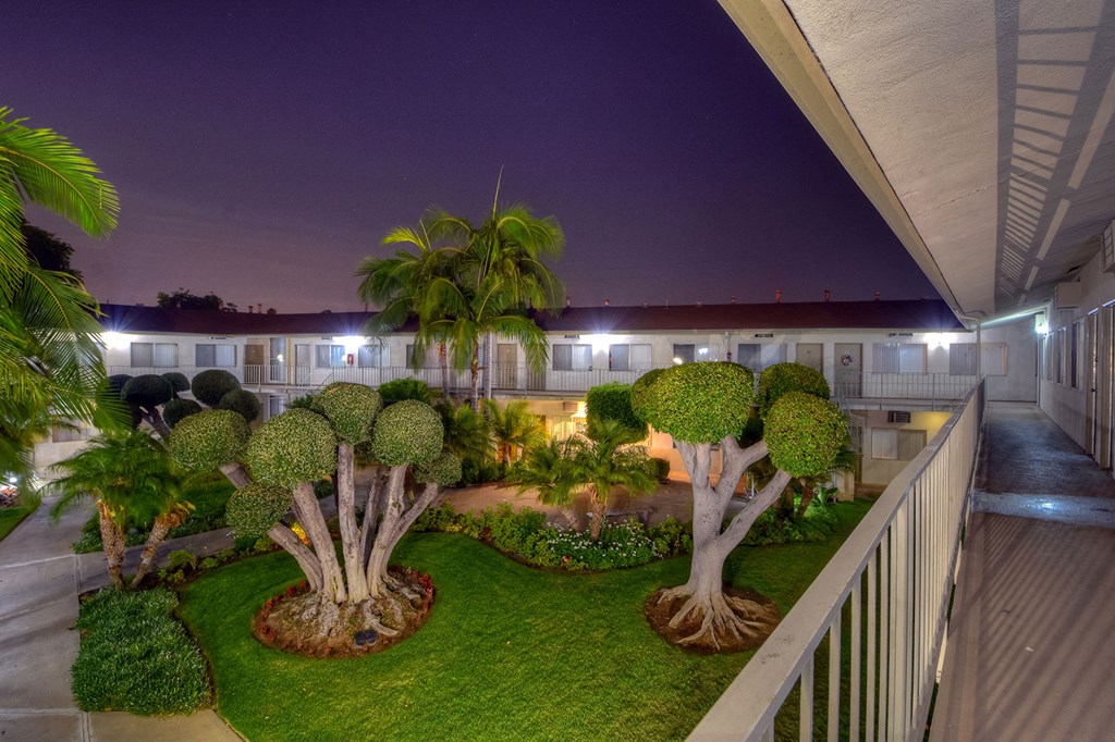 Garden with trees and palm trees at night