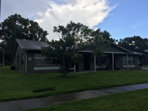 a house with a tree in the front of it