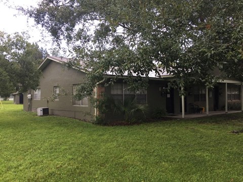 a house with a yard and a tree