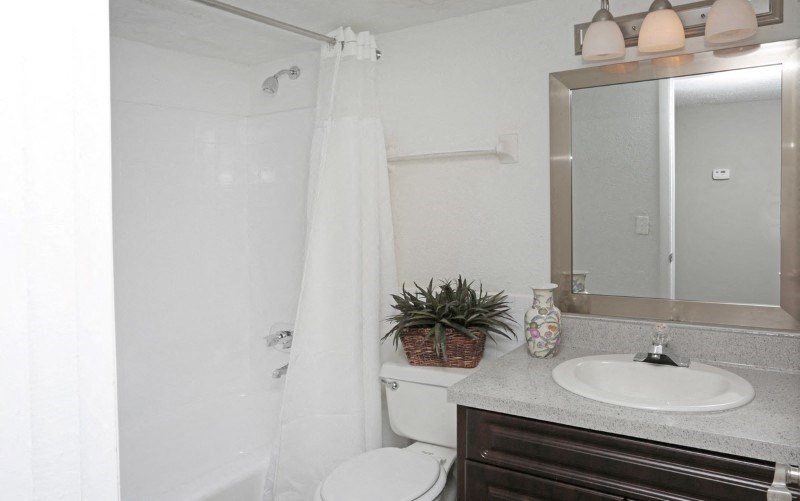 a bathroom with a toilet and a sink and a mirror