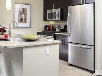 Energy Efficient Stainless Steel Appliances
