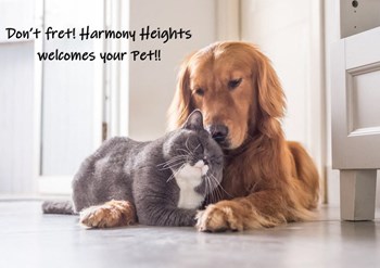1819 Harmony Heights Lane 1-3 Beds Apartment for Rent - Photo Gallery 5