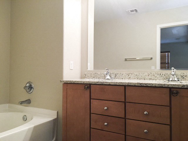 a bathroom with a sink and a mirror and a tub