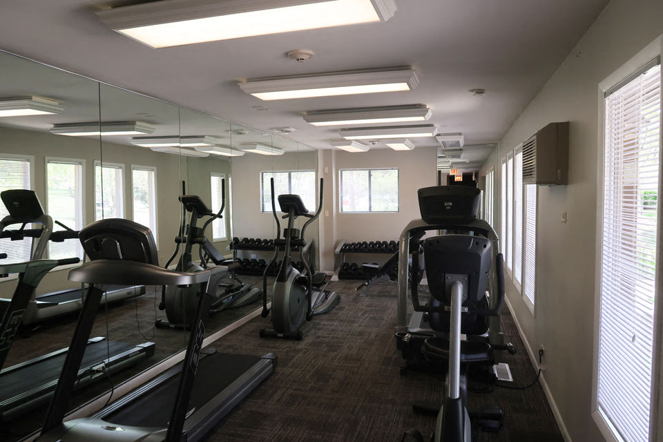 The Ponds On Plum Grove