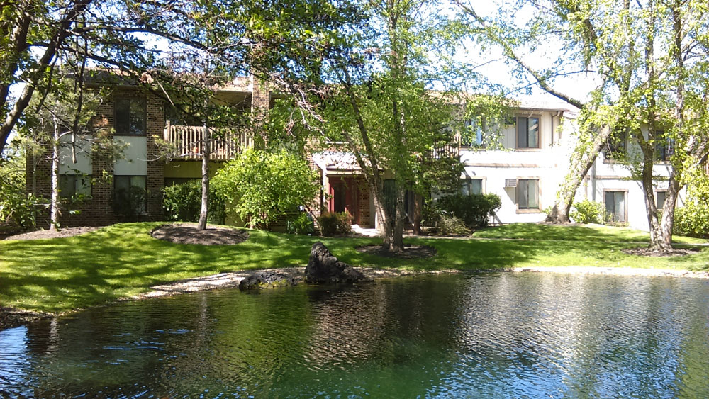 The Ponds On Plum Grove