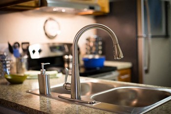 Double Stainless Steel Sink at The Ponds, Roselle, IL