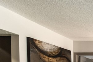 The Timbers Apartments in Raleigh NC Living Room
