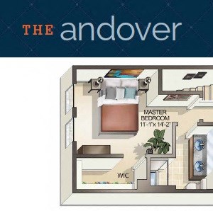 The Andover