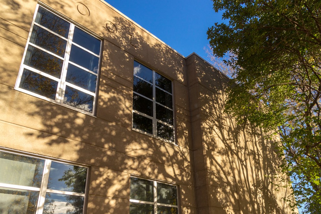 the side of a building with windows and a tree