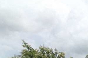 Tuskawilla Park Apartments 1401 Blumberg Blvd Winter Springs Fl