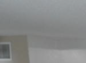 2750 US Highway 1 South 2-3 Beds Apartment, Affordable for Rent - Photo Gallery 4