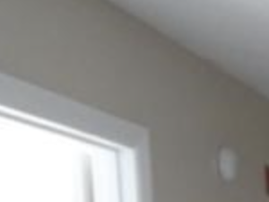 2750 US Highway 1 South 2-3 Beds Apartment, Affordable for Rent - Photo Gallery 3