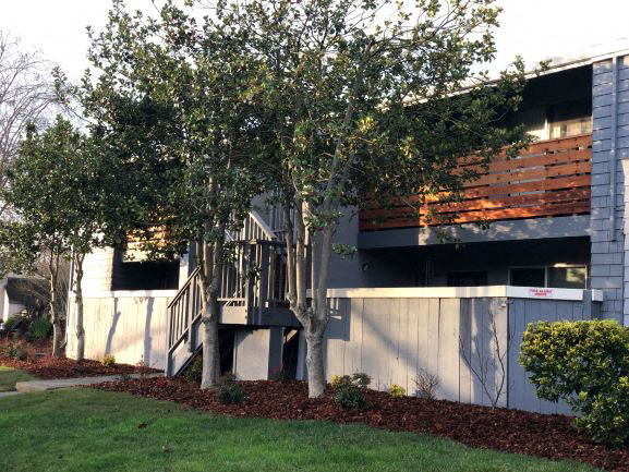 Exterior of Building l Stony Brook Apartments in Santa Rosa CA