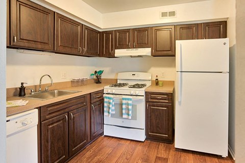 Under-Counter Dishwasher, at Northville Woods, Michigan