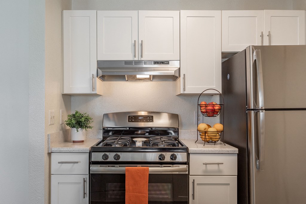 Stainless Steel appliances