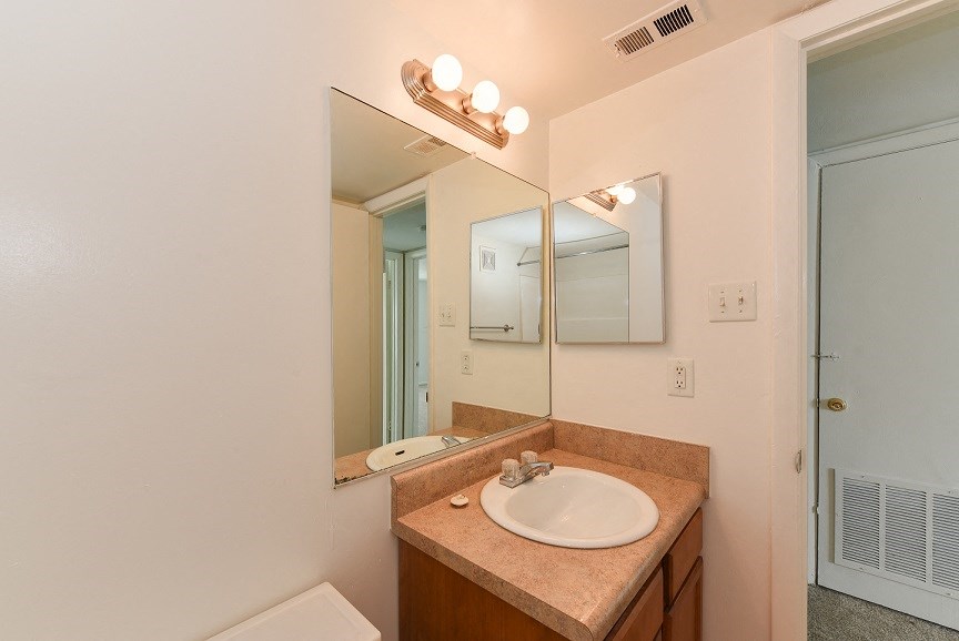 a bathroom with a sink and a mirror and a shower