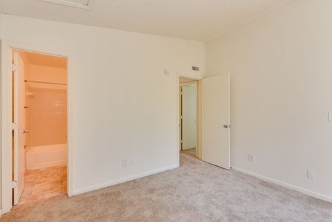 a bedroom with a closet and an open door