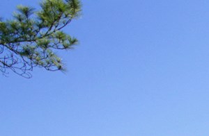 Apartments For Rent In 77042 Tx Rentcafe