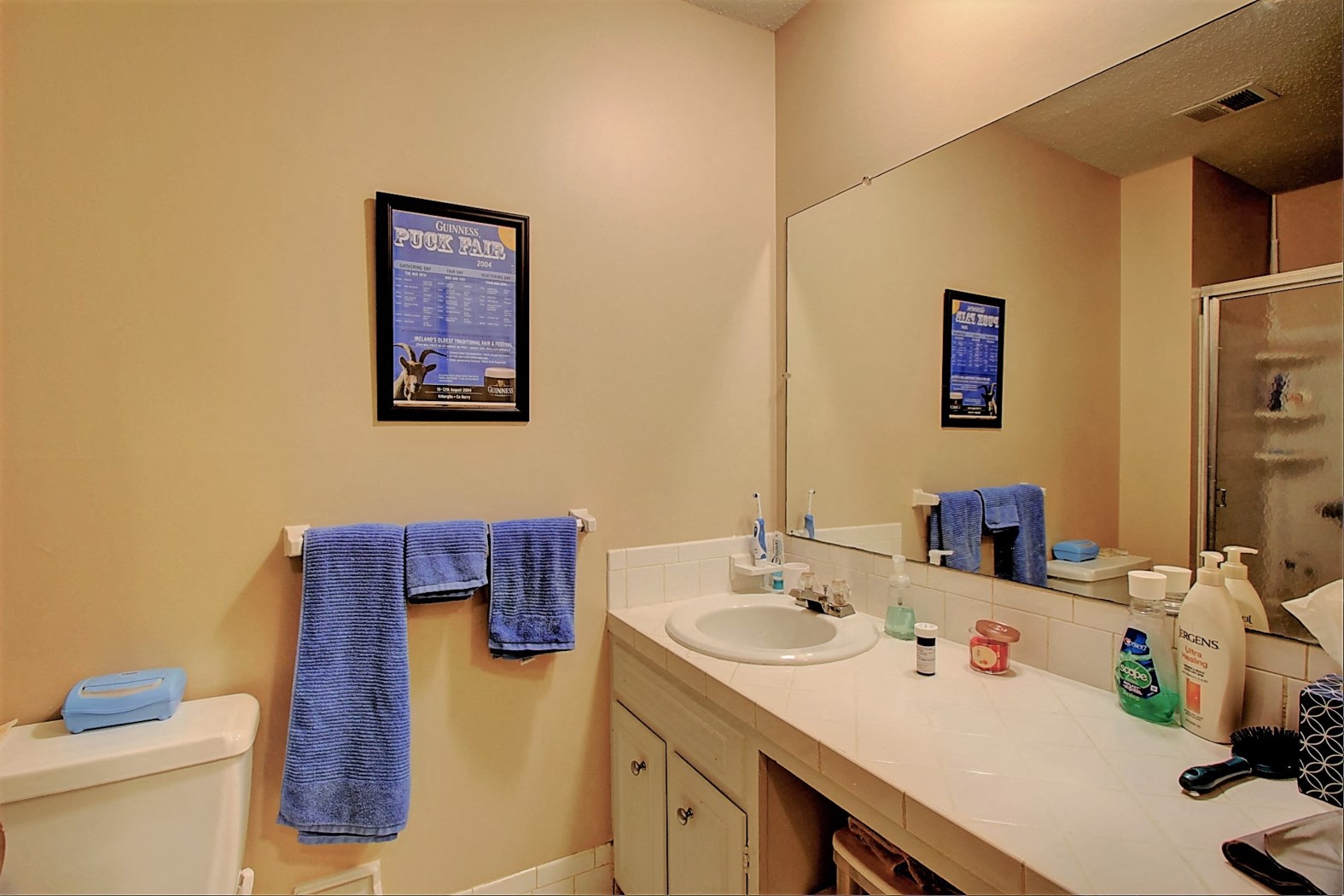 Image of bathroom with large vanity and mirror