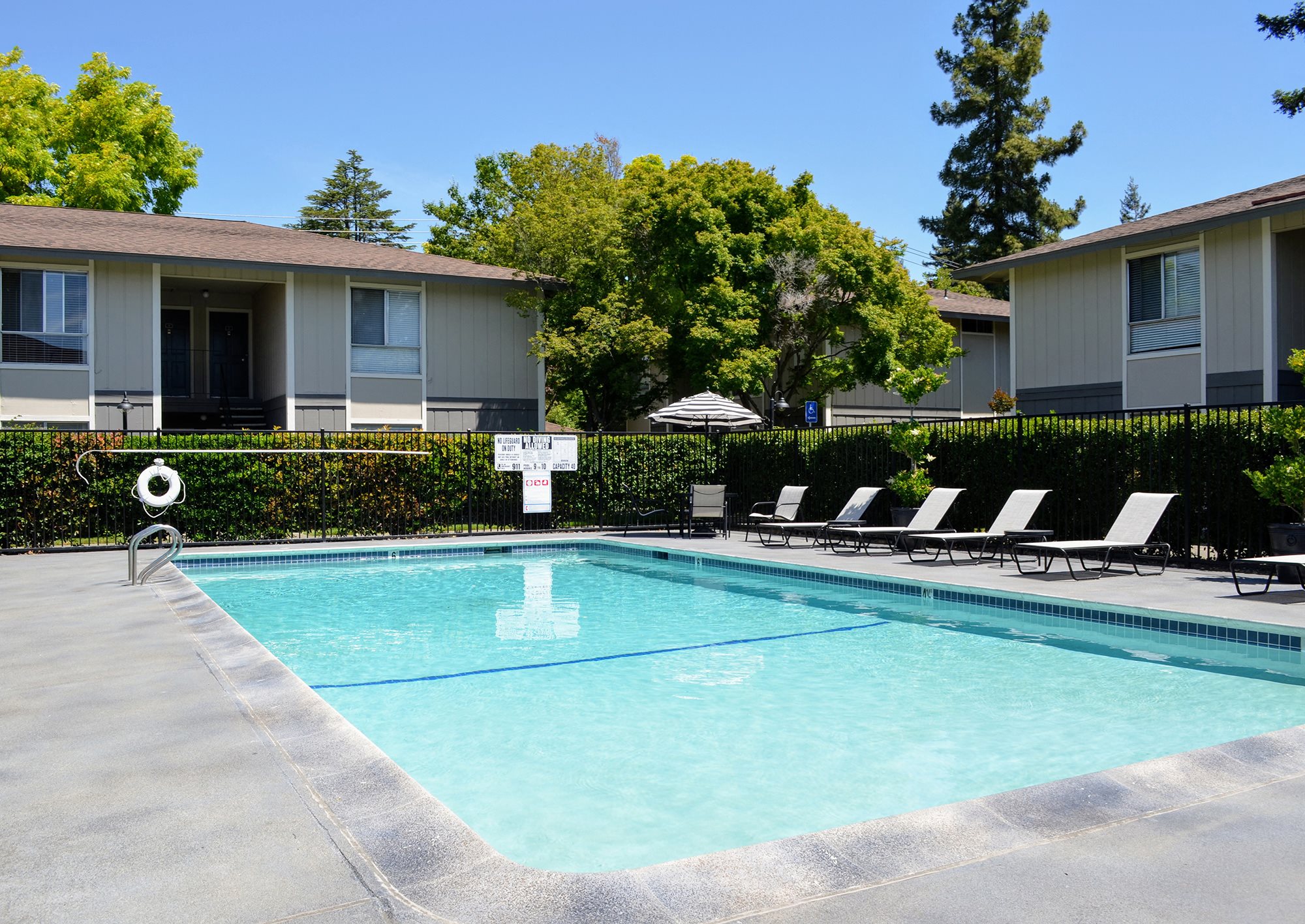 Bella Vista Napa Apartments | Pool