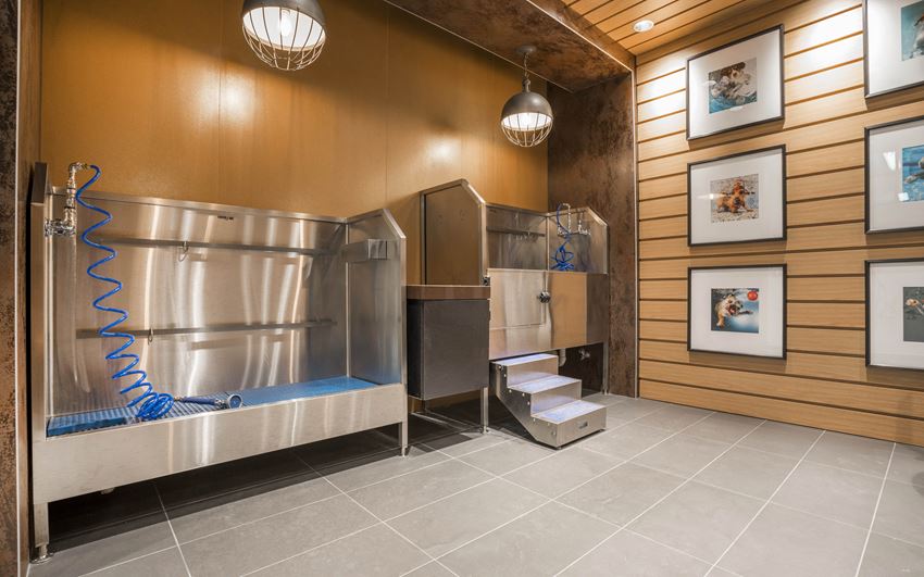 The Belgard Apartments, 33 N Street NE, Washington, DC RentCafe