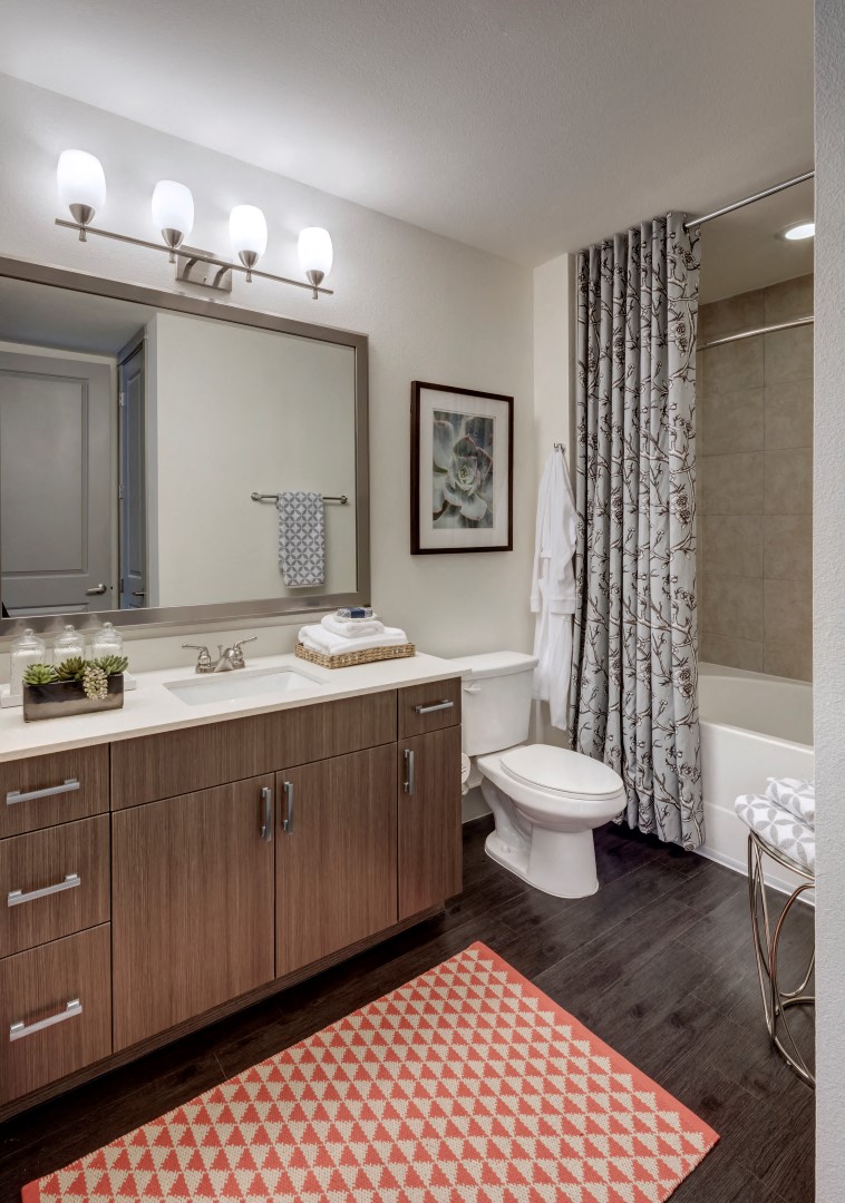 bathroom apartments in katy