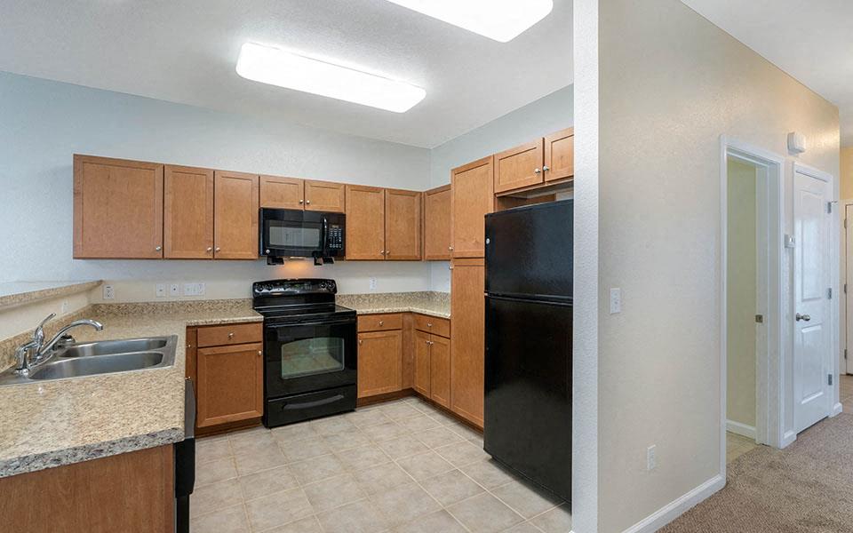a kitchen with a black refrigerator and a sink