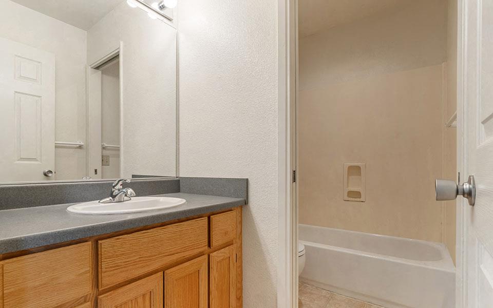 a bathroom with a sink and a mirror