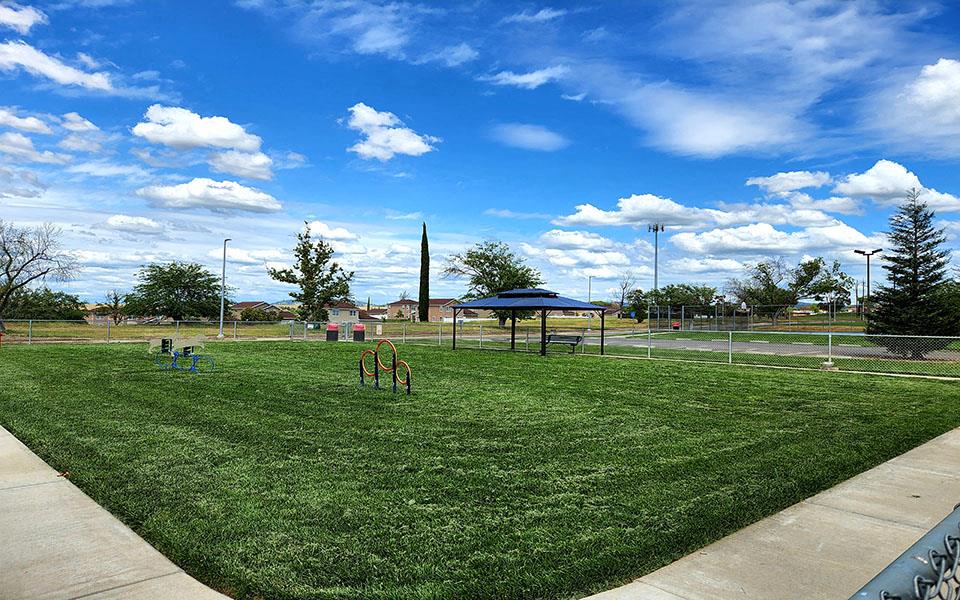 a park with green grass and a playground