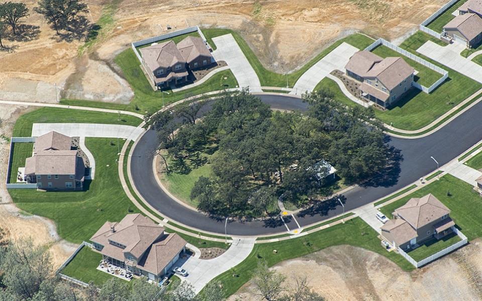 an aerial view of a circle of houses and a tree