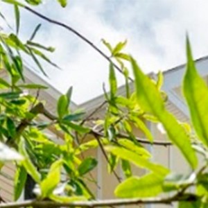 Southern Pines Ii Apartments 60 Eal Lane Lusby Md Café Southern Pines Exterior