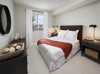 Bright Picture Windows at SofA Downtown Luxury Apartments, Florida, 33483