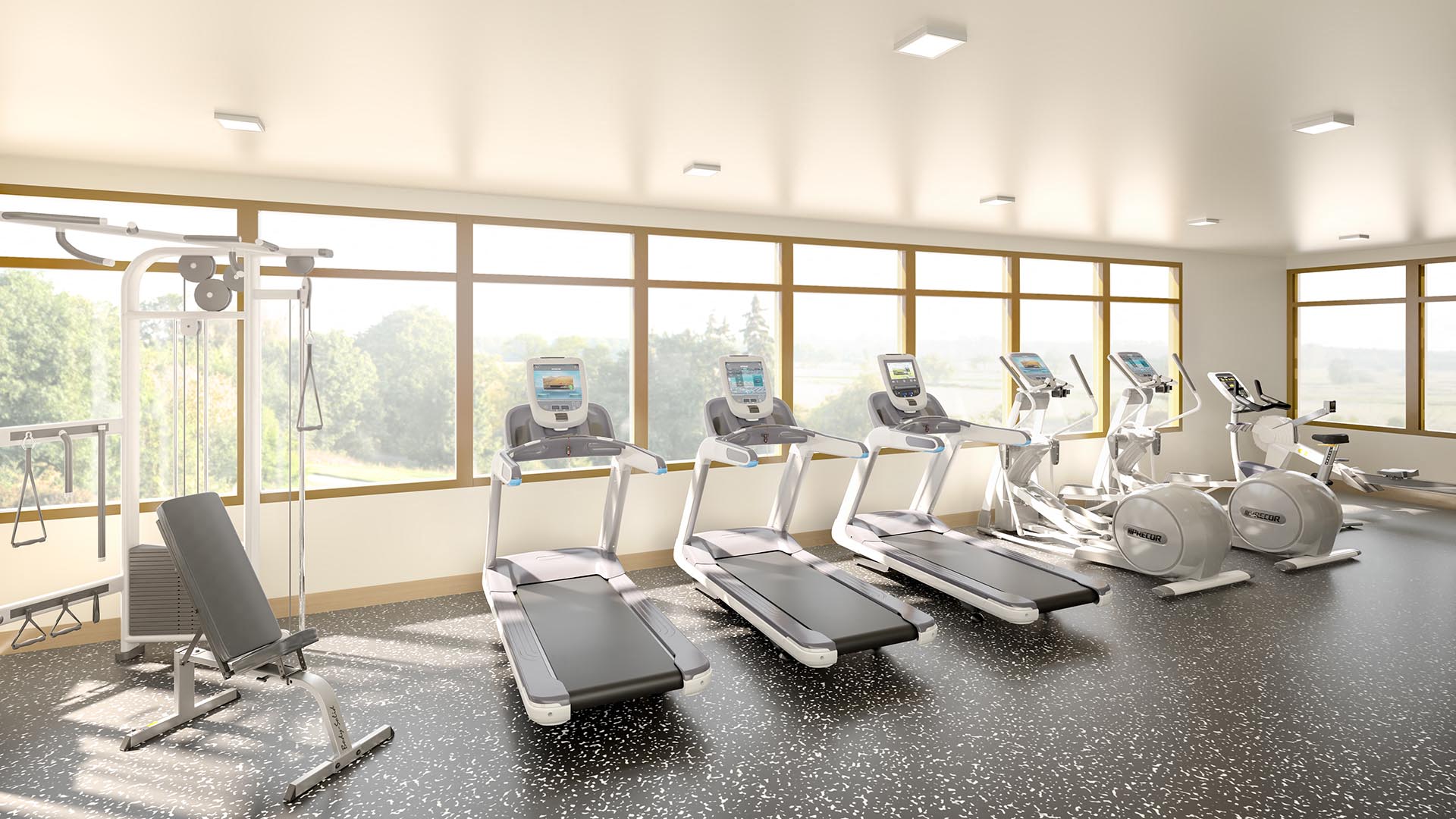 a gym with a row of exercise equipment and windows