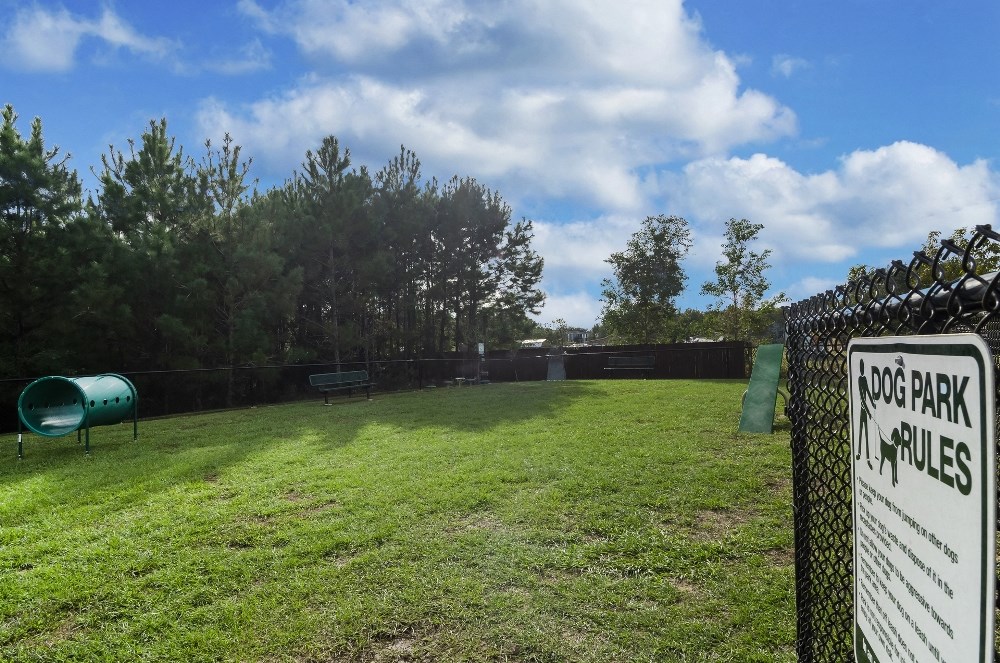 a park with a fence and a field with grass and trees
