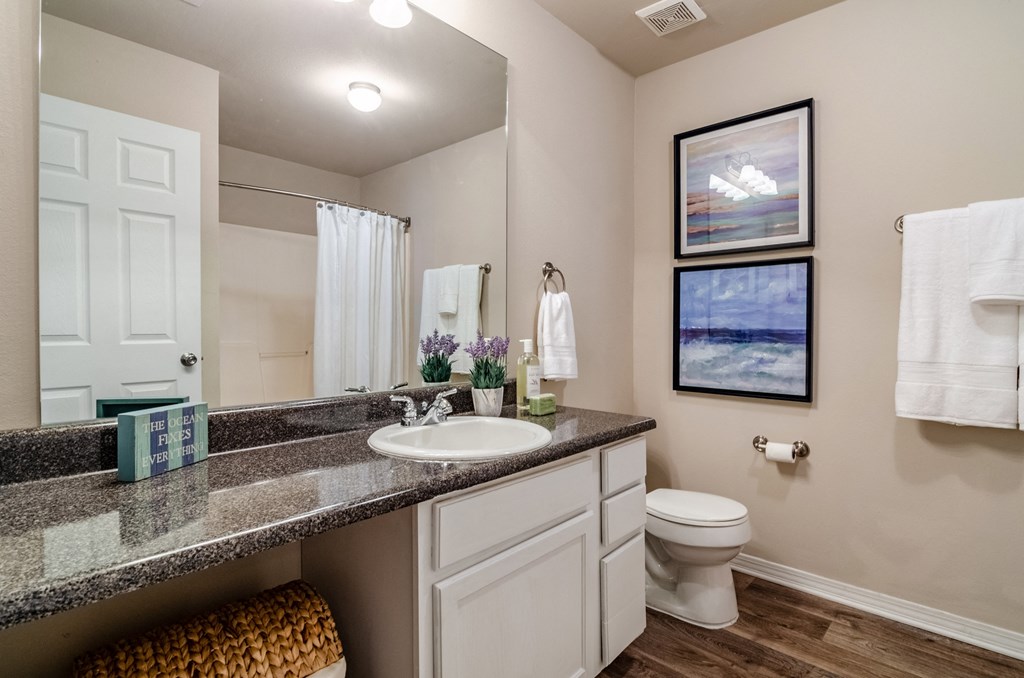 a bathroom with a sink and a toilet and a mirror