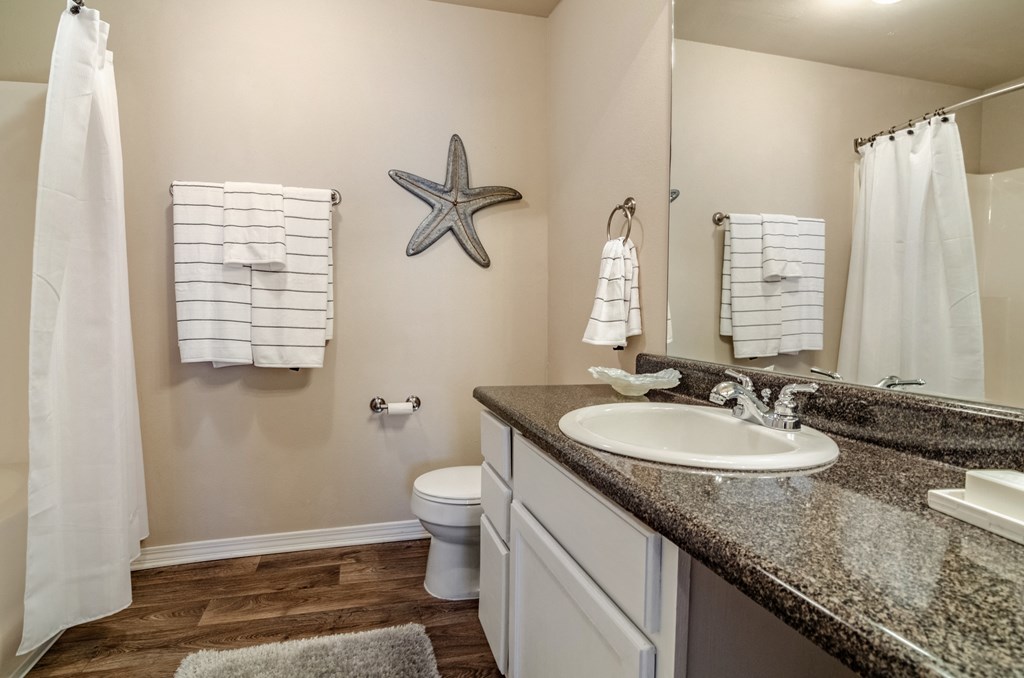 a bathroom with a sink and a toilet and a mirror