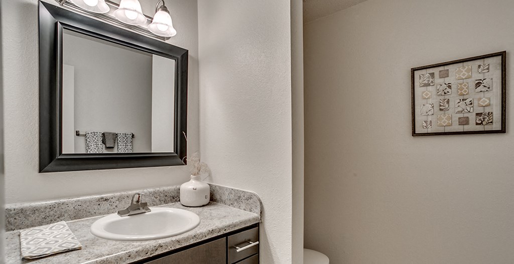 a bathroom with a sink and a mirror