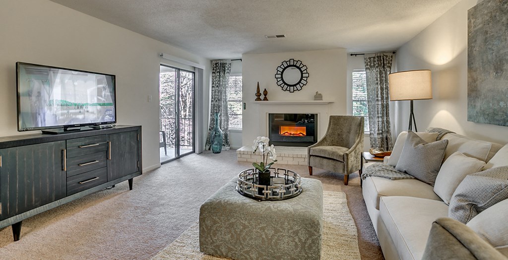 a living room with a couch and a tv and a fireplace