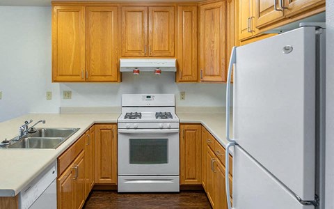 a kitchen with a stove and a refrigerator