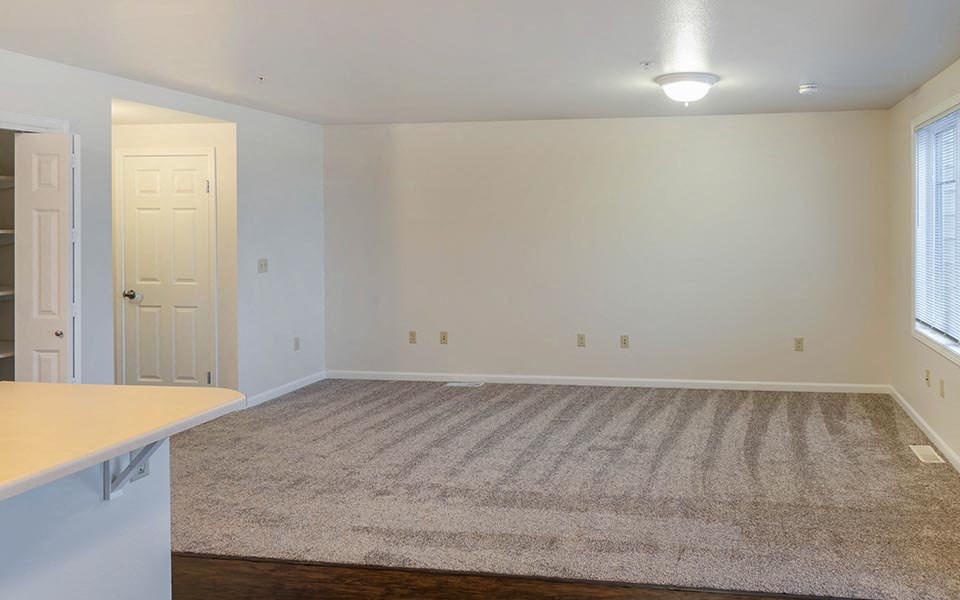 an empty living room with a rug and a white door
