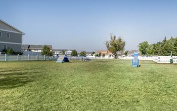 Dog park