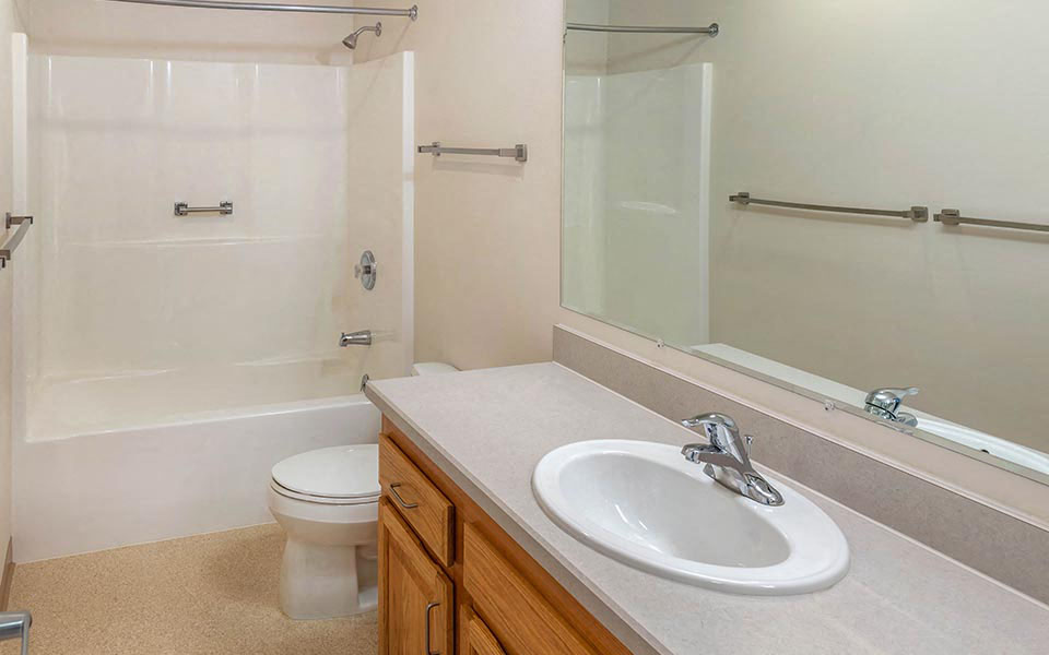 a bathroom with a sink and a toilet and a mirror