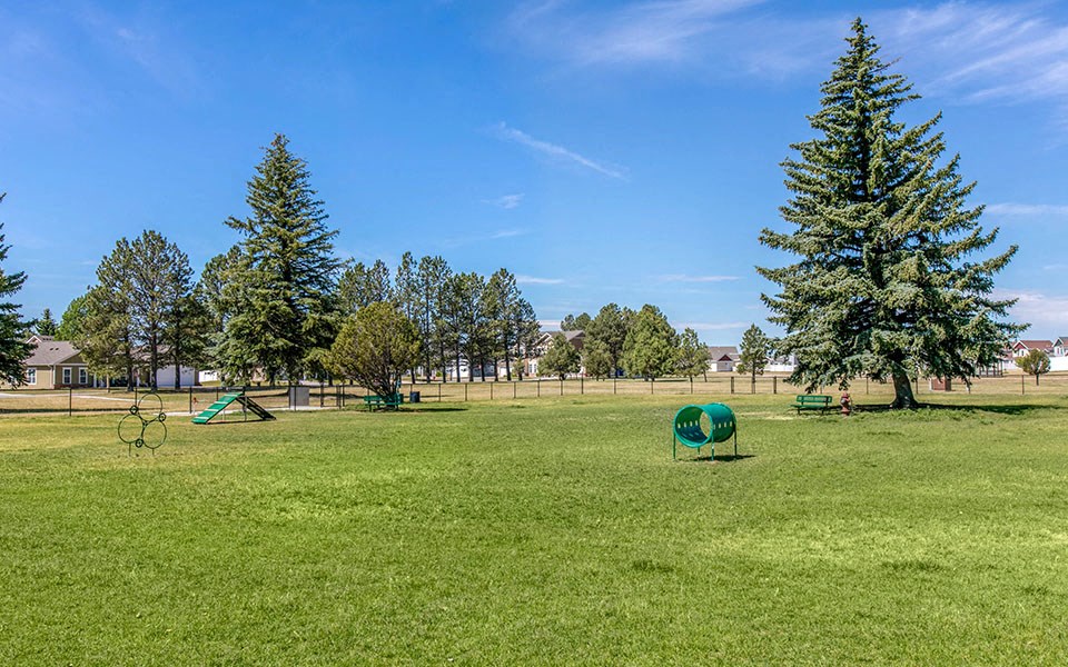 a park with a playground and trees